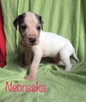 nebraska